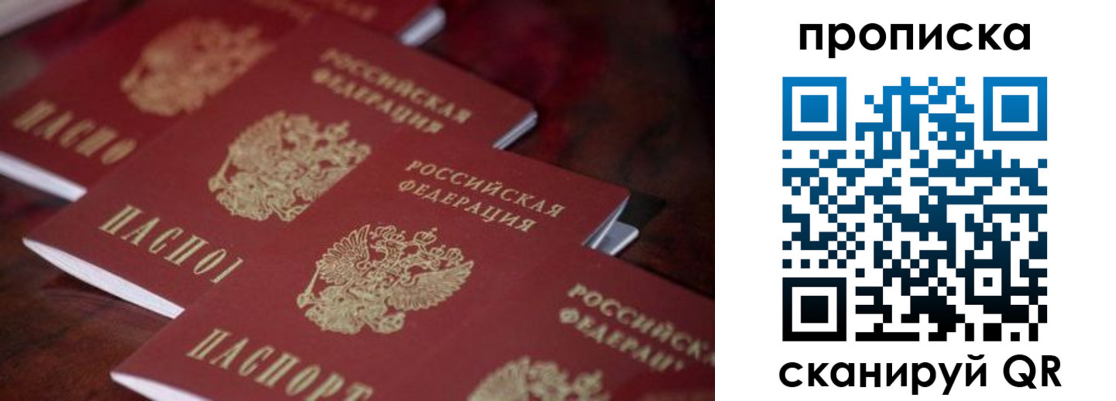 прописка гарантия в Ульяновске